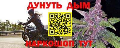 гашик Будённовск