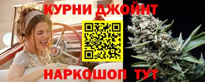 прущие грибы Балаково