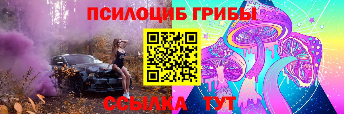 Галлюциногенные грибы GOLDEN TEACHER  Вход с VPN  Галлюциногенные грибы Psilocybe  Вятские Поляны 