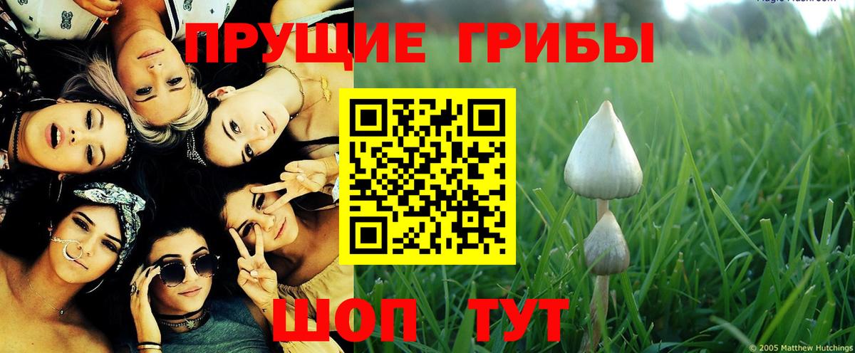 Галлюциногенные грибы мицелий  как найти наркотики  Вятские Поляны 