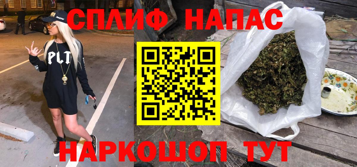 Конопля гибрид Вятские Поляны